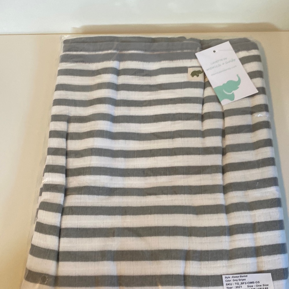 Monica & Andy brand baby blanket